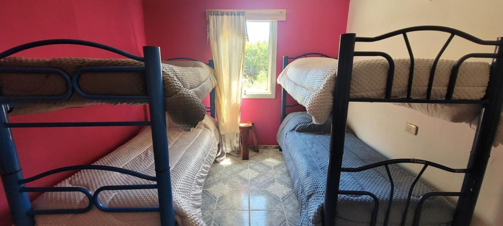 Hostel Las Cuatro Estaciones 厄尔查尔坦 外观 照片